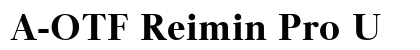 A-OTF Reimin Pro U Preview