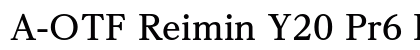 A-OTF Reimin Y20 Pr6 B preview