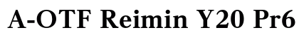 A-OTF Reimin Y20 Pr6 EH Preview