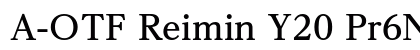 A-OTF Reimin Y20 Pr6N B preview