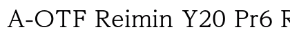 A-OTF Reimin Y20 Pr6 R Preview