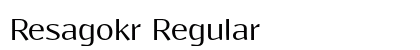 Resagokr Regular Preview