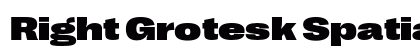 Right Grotesk Spatial Black Regular preview