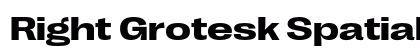 Right Grotesk Spatial Bold preview
