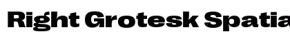 Right Grotesk Spatial Dark Regular preview