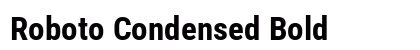 Roboto Condensed Bold Preview