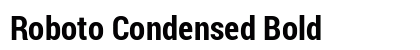 Roboto Condensed Bold Preview