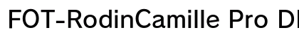FOT-RodinCamille Pro DB preview