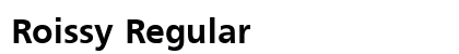 Roissy Regular preview