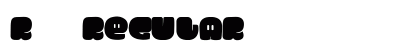 R&#65535;&#65535; Regular preview