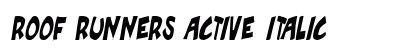 Roof runners active Italic preview