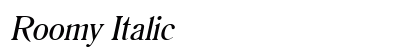 Roomy Italic preview