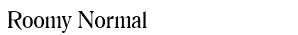 Roomy Normal preview