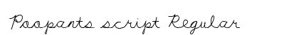 Poopants script Regular preview