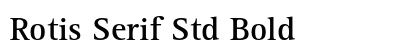 Rotis Serif Std Bold preview