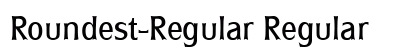 Roundest-Regular Regular preview