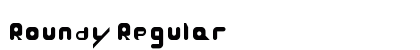 Roundy Regular preview