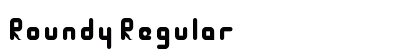 Roundy Regular preview