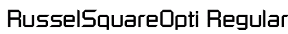 RusselSquareOpti Regular preview