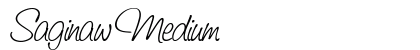 Saginaw Medium Preview