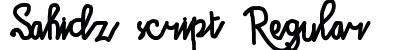 Sahidz script Regular preview