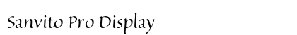 Sanvito Pro Display Preview