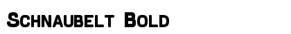 Schnaubelt Bold preview