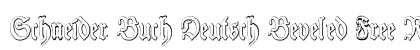 Schneider Buch Deutsch Beveled Free Regular preview
