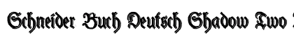 Schneider Buch Deutsch Shadow Two Regular preview