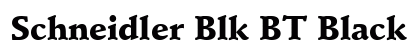 Schneidler Blk BT Black Preview