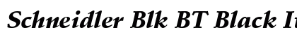 Schneidler Blk BT Black Italic preview