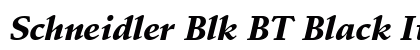 Schneidler Blk BT Black Italic preview