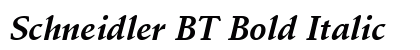Schneidler BT Bold Italic Preview