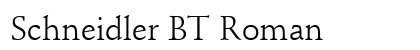 Schneidler BT Roman Preview
