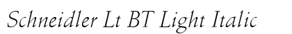 Schneidler Lt BT Light Italic Preview