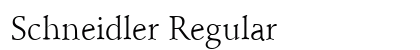 Schneidler Regular Preview
