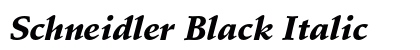 Schneidler Black Italic Preview