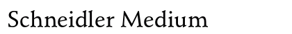 Schneidler Medium Preview