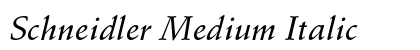 Schneidler Medium Italic Preview