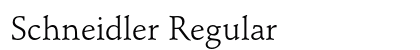 Schneidler Regular Preview