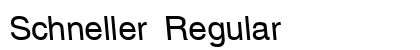 Schneller Regular preview