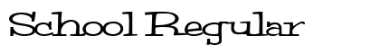 School Regular preview