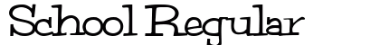 School Regular preview
