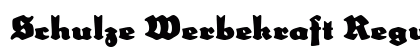 Schulze Werbekraft Regular preview
