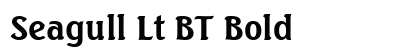 Seagull Lt BT Bold preview