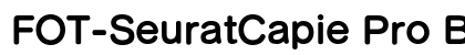 FOT-SeuratCapie Pro B Preview