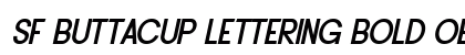 SF Buttacup Lettering Bold Oblique preview