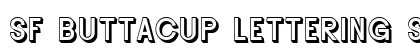 SF Buttacup Lettering Shaded Regular preview