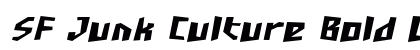 SF Junk Culture Bold Oblique Preview