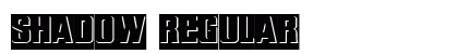 Shadow Regular Preview